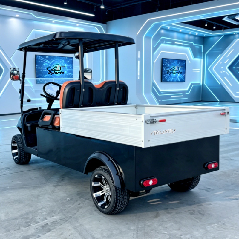 Outdoor Hunting Vehicle - 공장 직판 전기 골프 카트 태양광