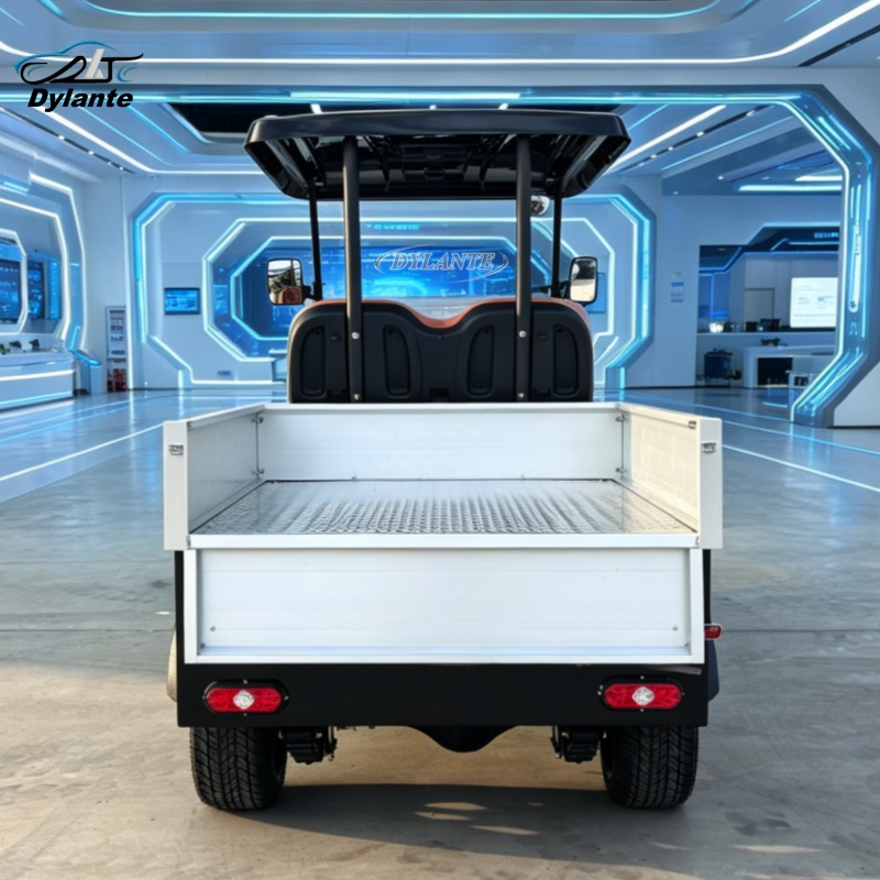 공장 직판 전기 골프 카트 태양광 60V 2인승 5KW - Outdoor Hunting Vehicle 리뷰 및 가격